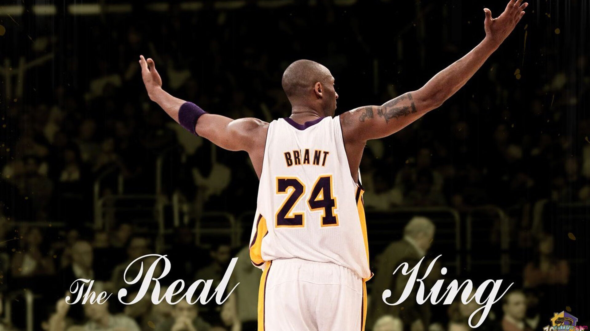 全国青少年网球精英赛合肥站 U12男单小选手连胜七场一路横扫夺冠